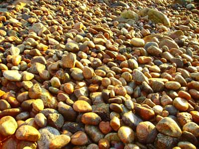71  Bayble shore pebbles